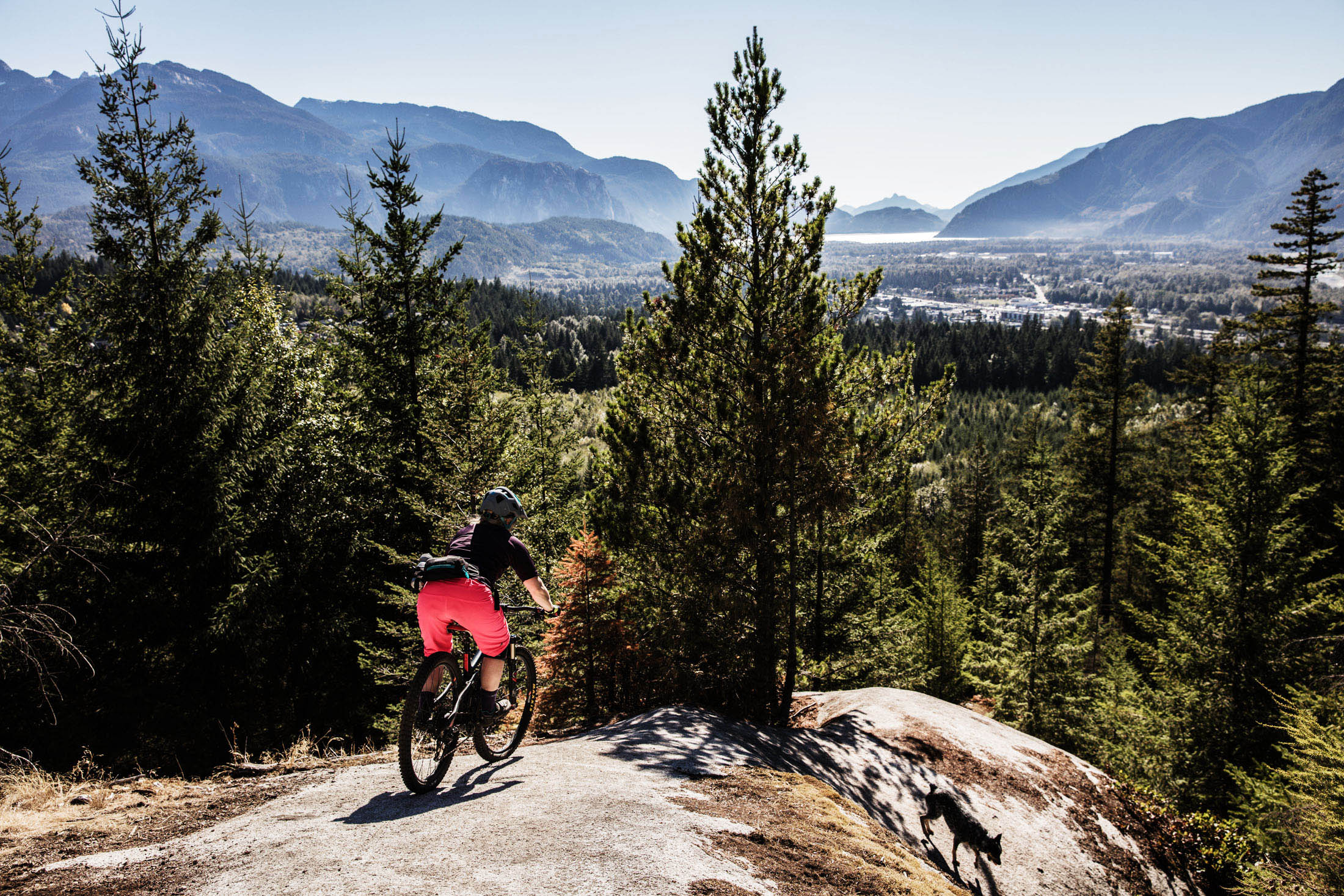 Mountain-Biking-Squamish-Summer-Dog